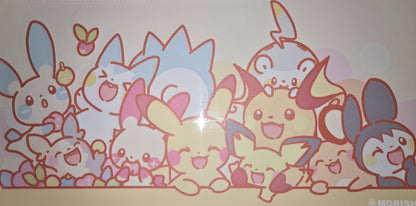 Pokémon Playmats